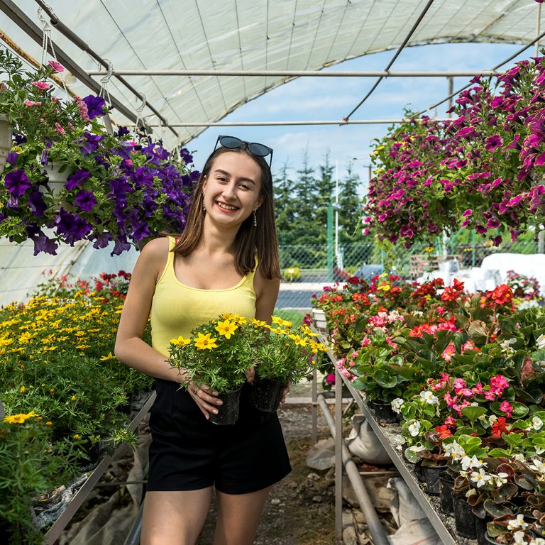 what is the gardening cycle plant life stages